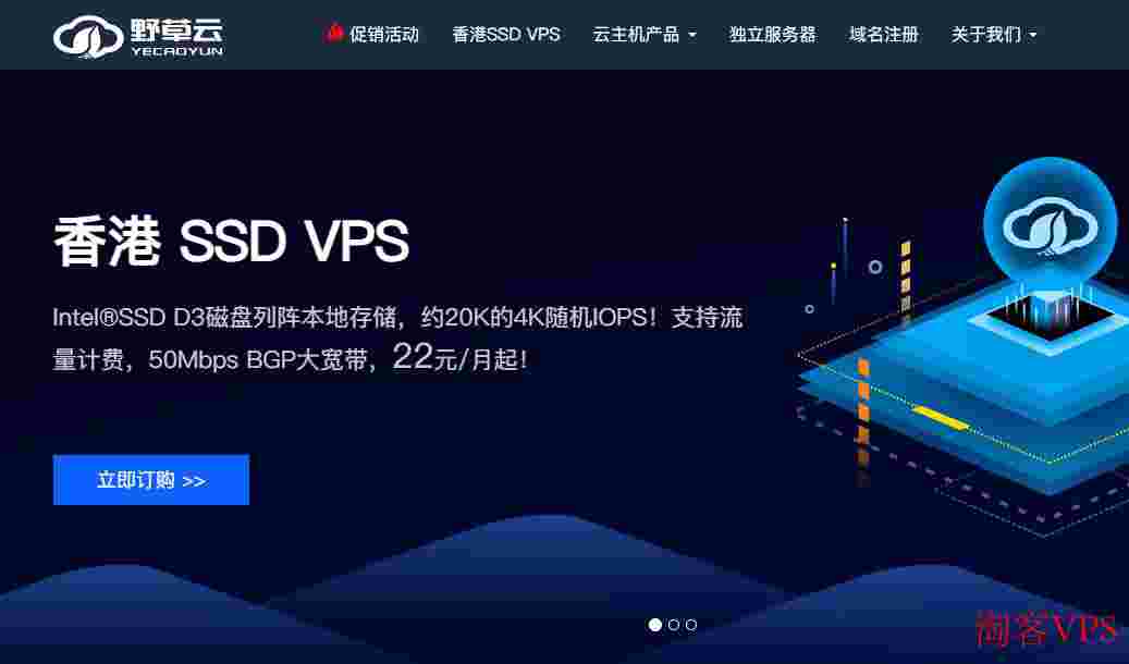 野草云香港VPS测评介绍-最低