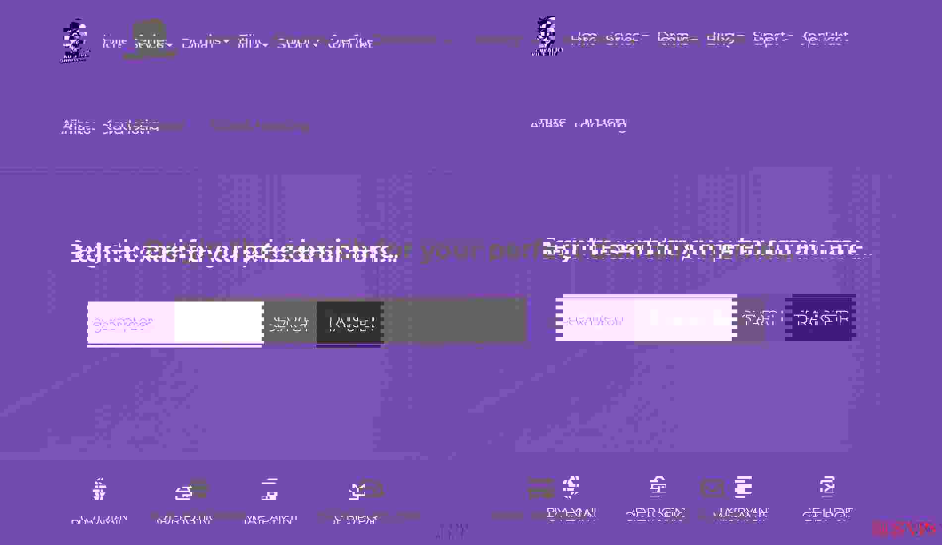 Skunkfactory 美国VPS测评-高性能与低延迟的完美结合