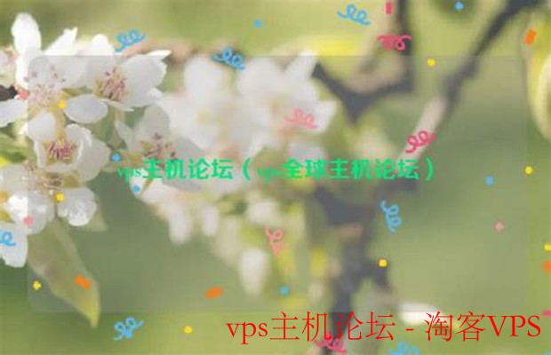 探索VPS主机论坛的世界 - 最佳资源与讨论平台