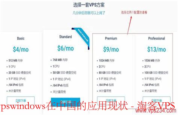 日本VPS Windows在中国的应用现状分析