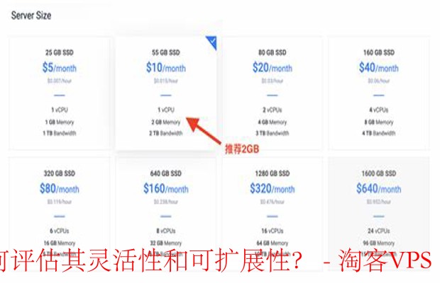 选择VPS提供商的关键因素-灵活性与可扩展性评估指南