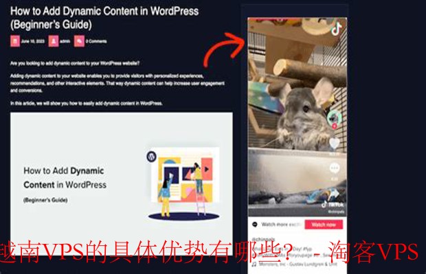 利用WePC越南VPS提升TikTok创作效率-稳定与安全并重