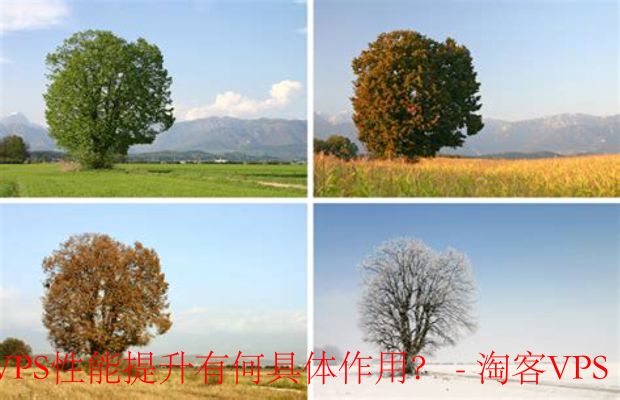 模拟真实场景测试提升VPS性能-全面解析与实战指南
