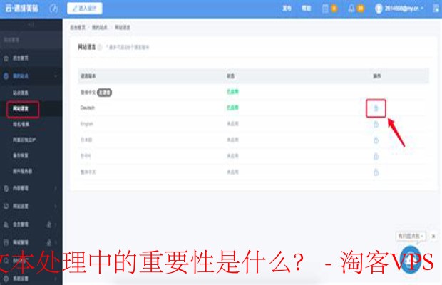 服务器资源的关键作用-多语言文本处理的重要性
