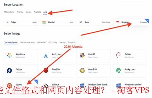 VPS套餐支持的文件格式与网页内容处理