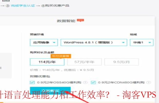云服务器转租提升企业效率-语言处理与成本优化的新策略