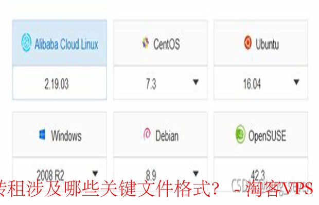 云服务器转租必备文件格式指南-确保交易安全与信息准确