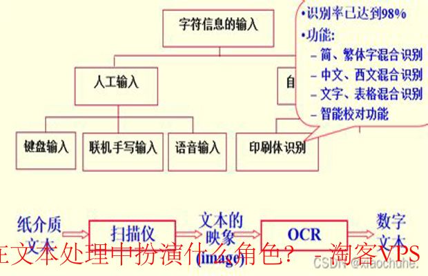 独立服务器在文本处理中的重要性 - 提升效率与安全性