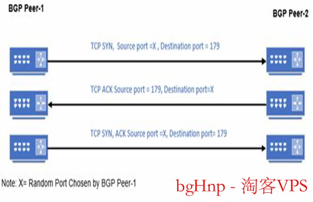 探秘bgHnp世界 - 从入门到未来发展全解析