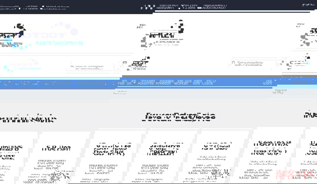 Dotdotnetworks美国独立服务器测评 - 多IP+大陆优化线路解析