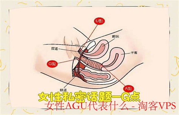 女性AGU代表什么——现代女性自信与独立的象征