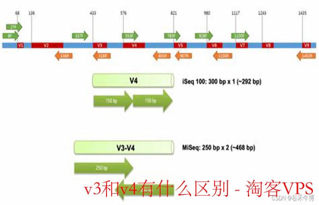 v3与v4区别解析 - 架构、功能与性能对比