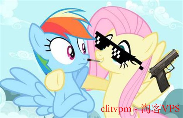 clitvpm深度解析 - 实用指南与应用案例分享