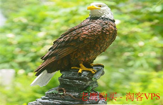 老鹰购买全攻略 - 选购技巧与饲养注意事项