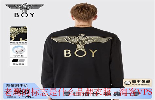 老鹰标志的品牌揭秘 - 经典鹰形LOGO解析