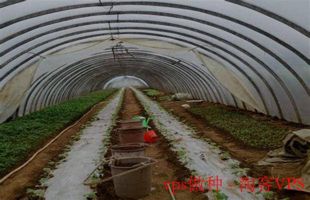 VPS做种全攻略 - 高速稳定打造私有种子环境