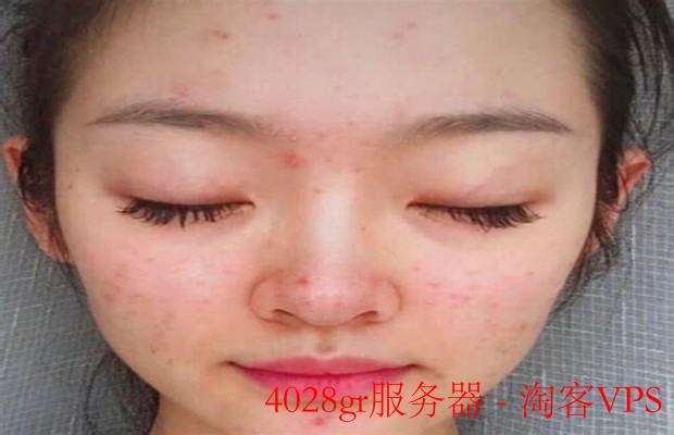 4028gr服务器全解析-性能、应用与选购要点