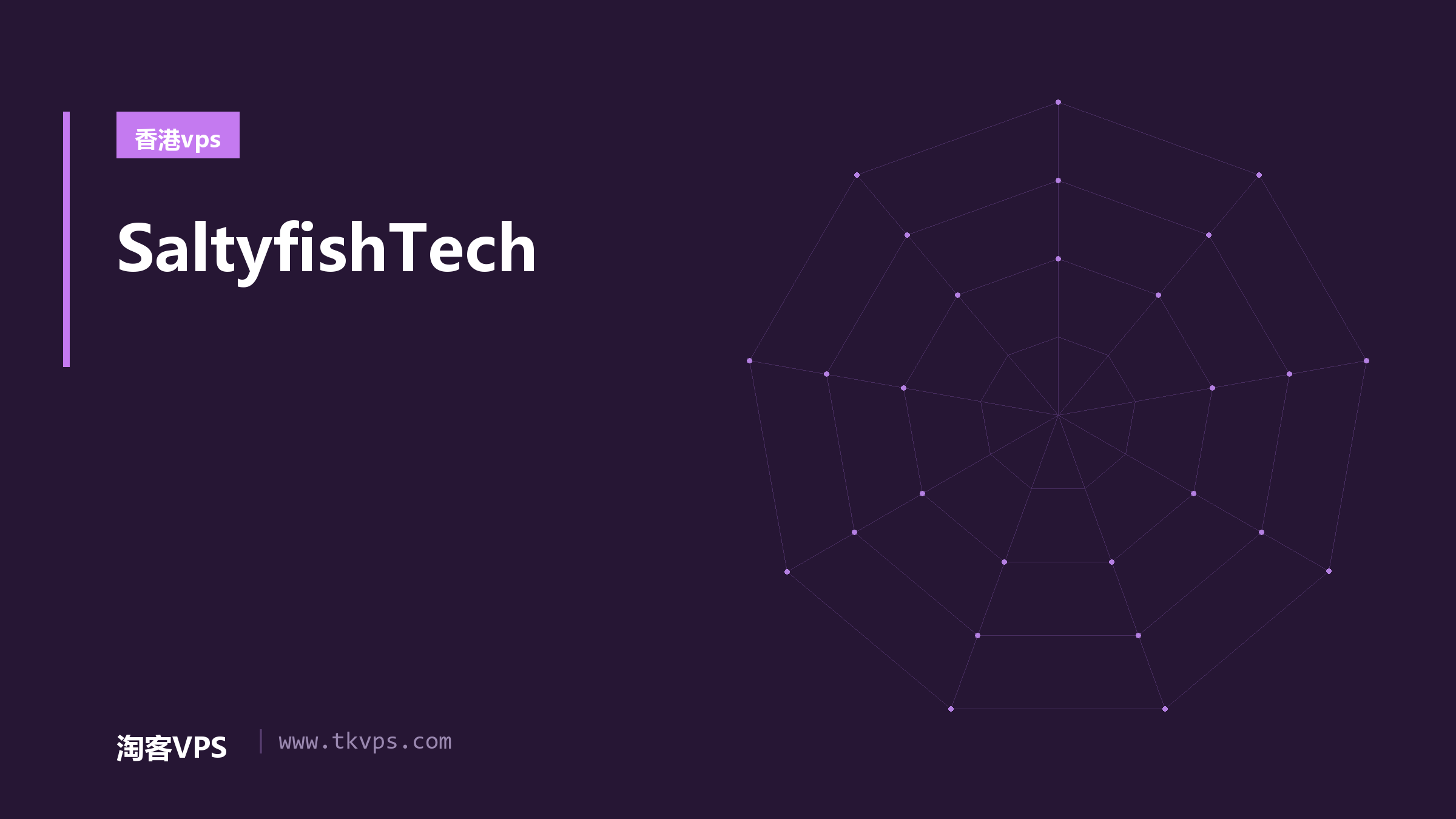 SaltyfishTech