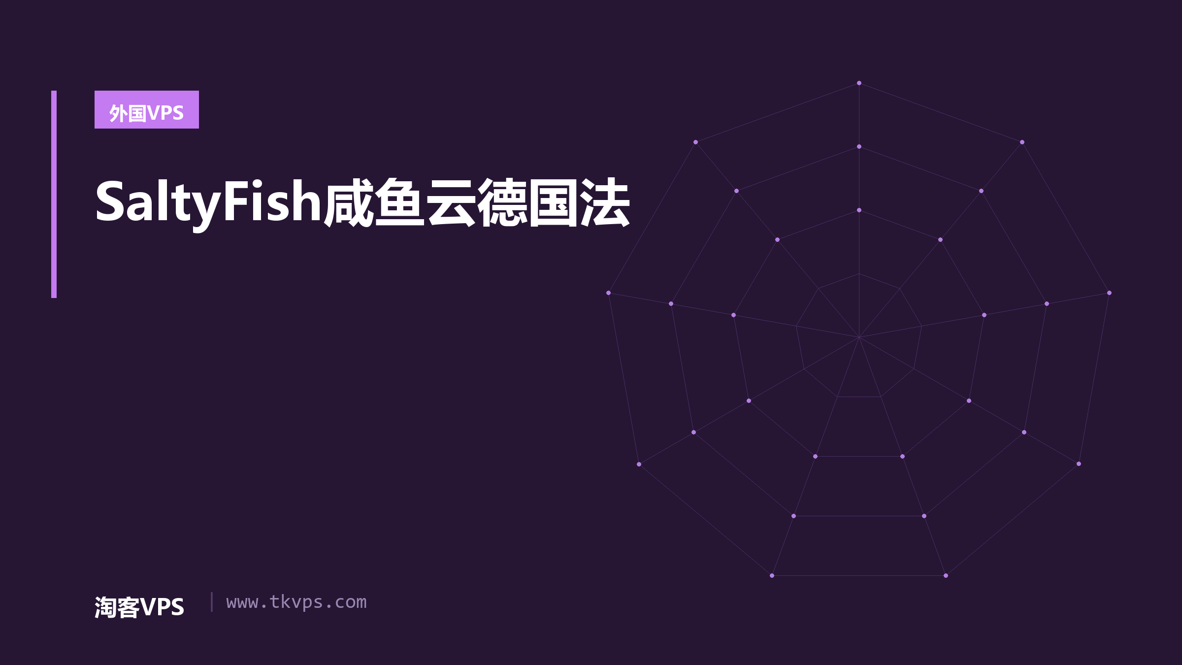 SaltyFish咸鱼云德国法