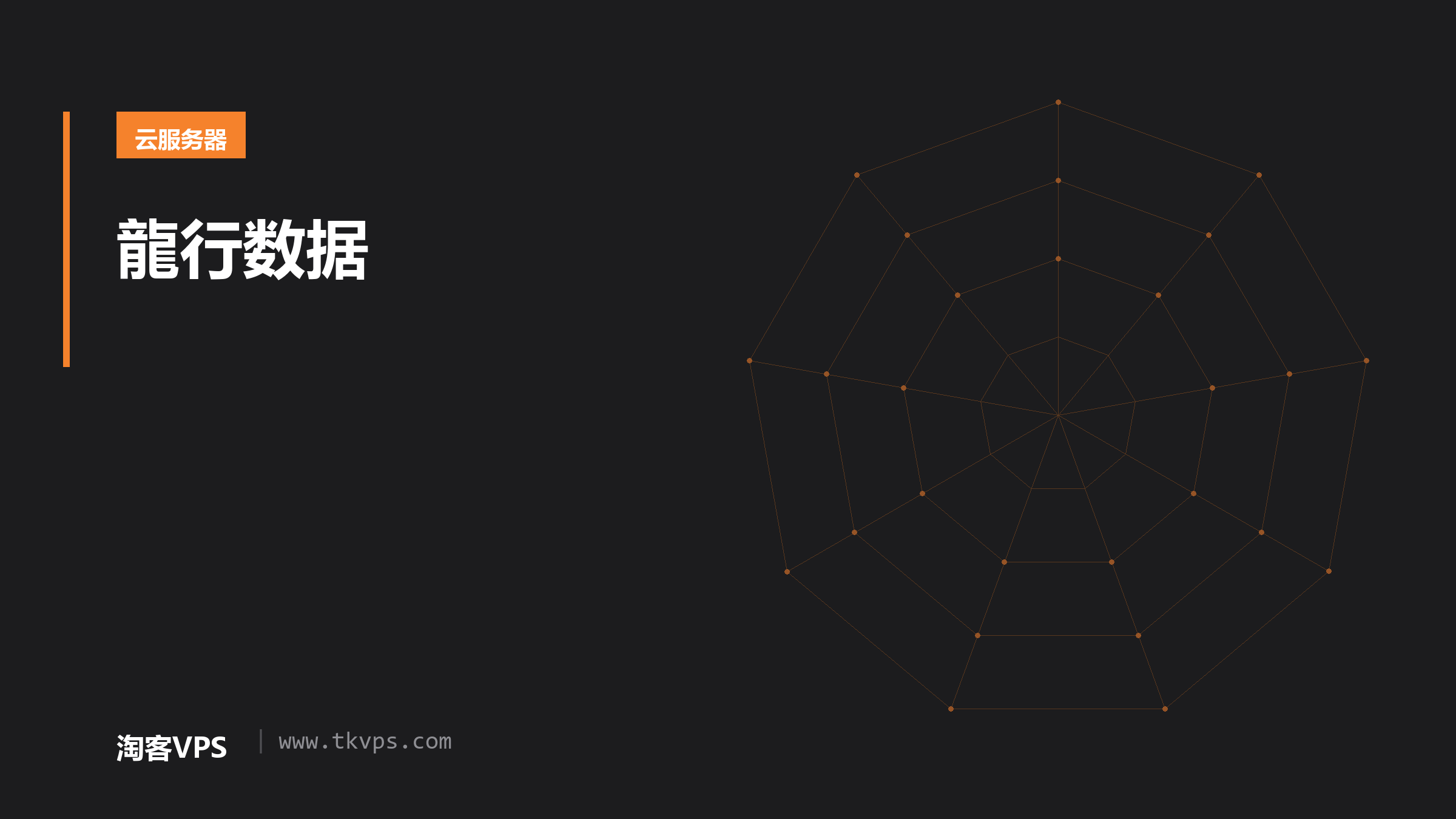 龍行数据