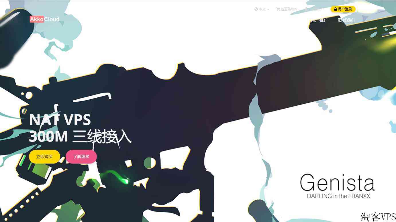 几款冷门的CN2GIA线路国外VPS推荐