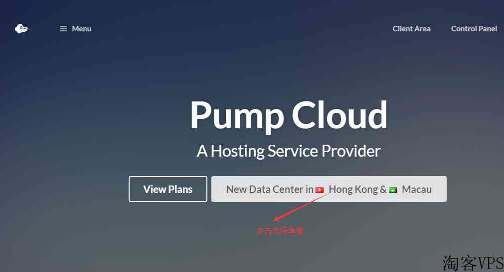 香港VPSPumpCloud推荐-三网直连速度快