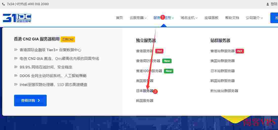 31IDC：日本独立服务器推荐-CN2+软银线路-100GDDoS高防