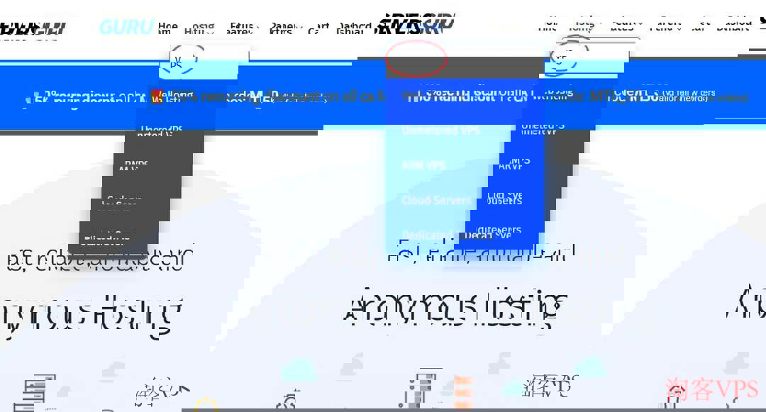 SERVERSGURU购买路径