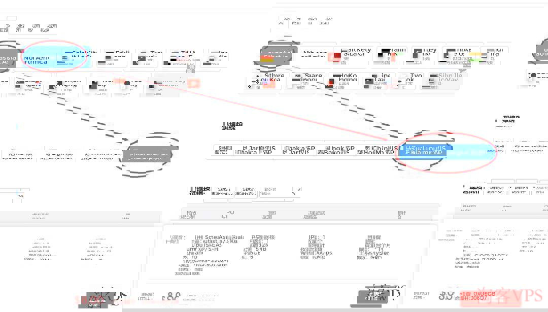 IPRaft官网马来西亚双ISP节点选择界面截图