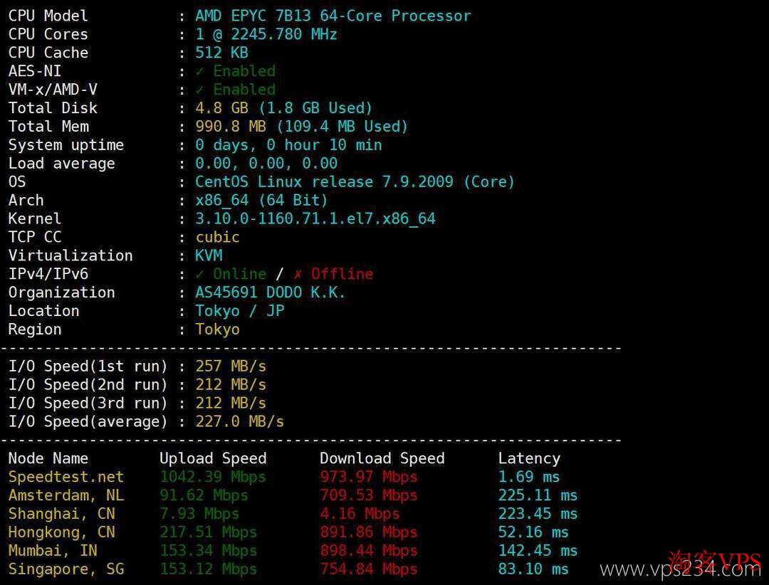 IPRaft日本VPS性能测试，显示CPU及磁盘I/O指标