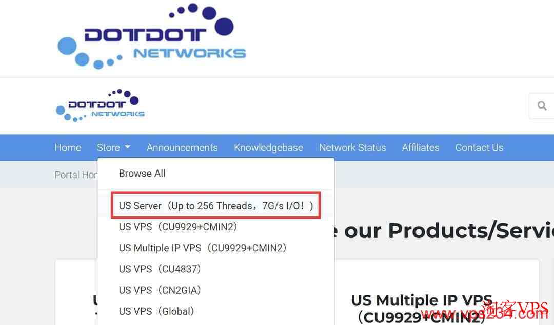 Dotdotnetworks官网US Server页面截图