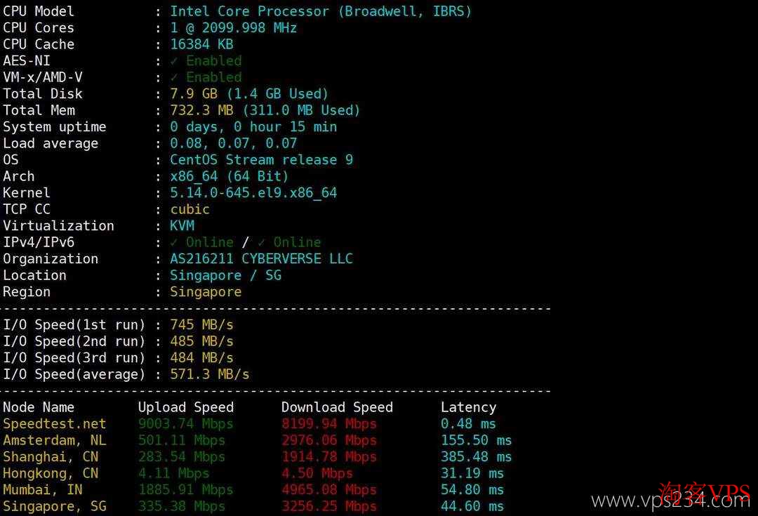 Skyline Connect新加坡VPS性能测试结果，读写速度和带宽表现