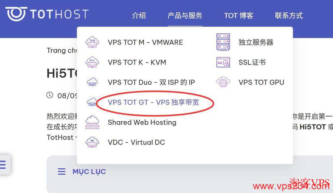 TotHost官网产品与服务VPS独享带宽页面