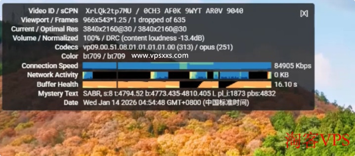 SoftShellWeb洛杉矶VPS观看YouTube高清视频截图