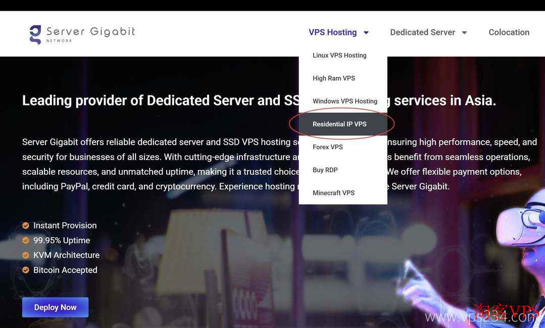Server Gigabit官网VPS Hosting菜单截图