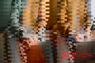 vmiss日本东京三网优化VPS建站体验