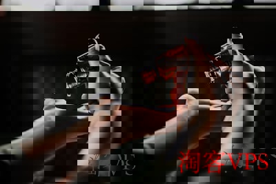 HostKVM 美国VPS示意图