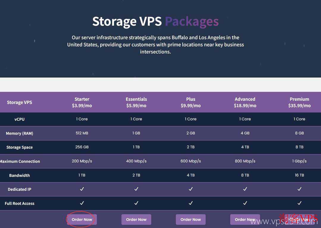选择套餐并点击Order Now下单