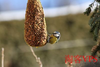 网络延迟测试图示
