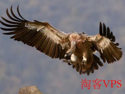 三网延迟测试示意图